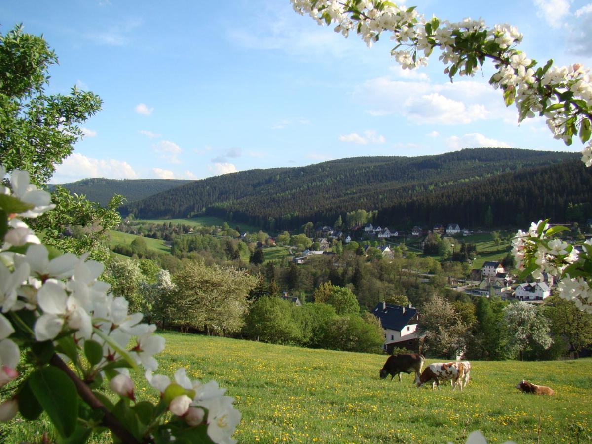 Ferienwohnung Lang Breitenbrunn  Esterno foto